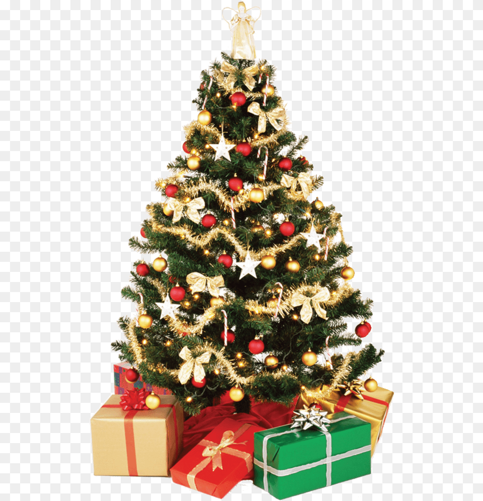 Christmas Tree Christmas Tree Transparent, Box, Plant, Christmas Decorations, Festival Free Png Download