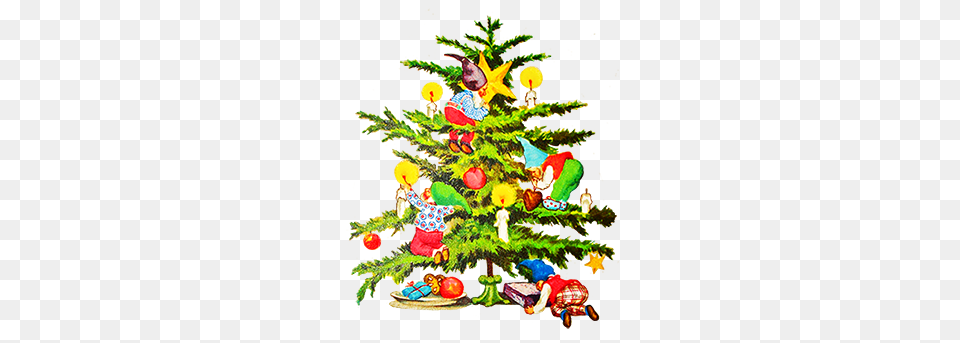Christmas Tree Clip Art, Plant, Christmas Decorations, Festival, Christmas Tree Free Png Download
