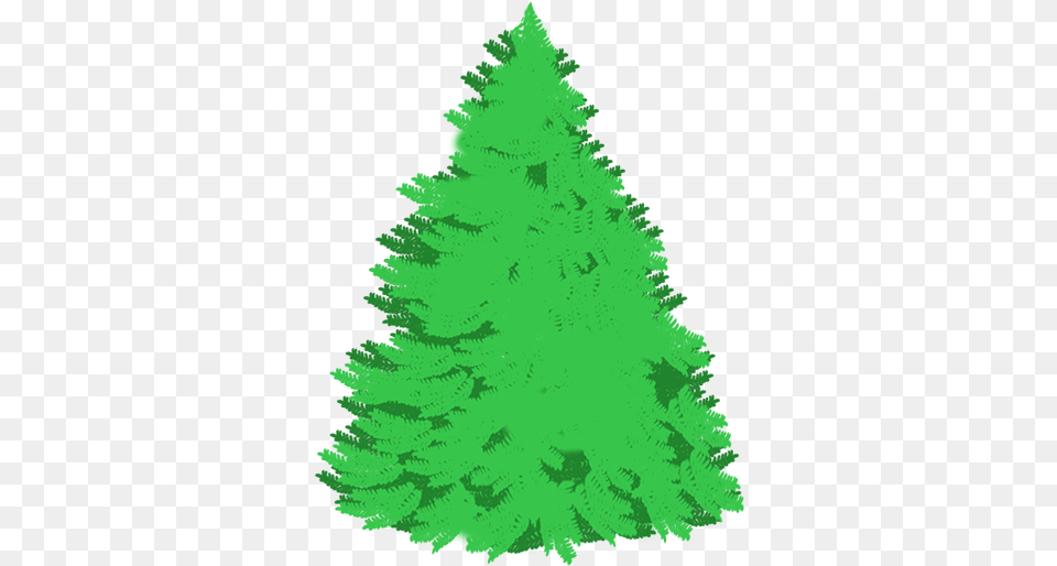 Christmas Tree Clip Art Draw Christmas Tree With Gift, Fir, Plant, Pine, Green Png Image