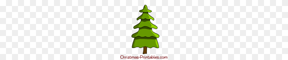 Christmas Tree Clipart, Plant, Person, Christmas Decorations, Festival Free Transparent Png
