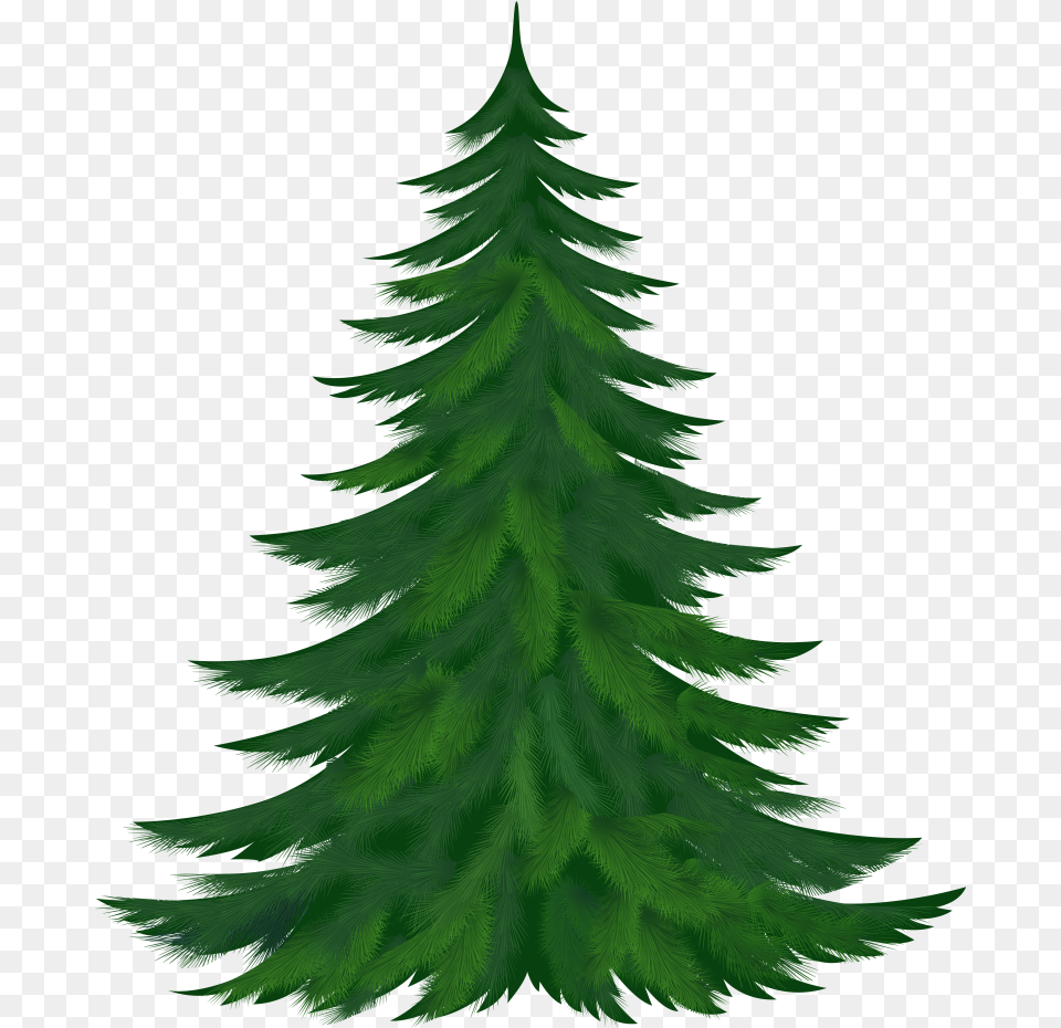 Christmas Tree Clipart Branches Christmas Tree Images Download, Fir, Plant, Green, Conifer Free Transparent Png