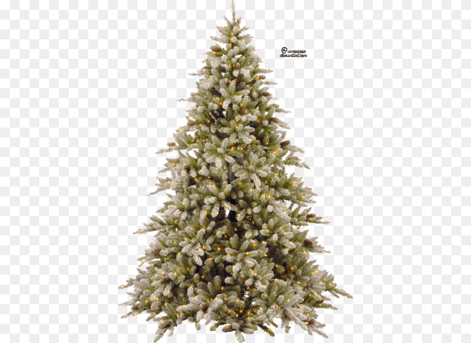 Christmas Tree Clipart Photo Christmas Tree, Pine, Plant, Christmas Decorations, Festival Free Transparent Png