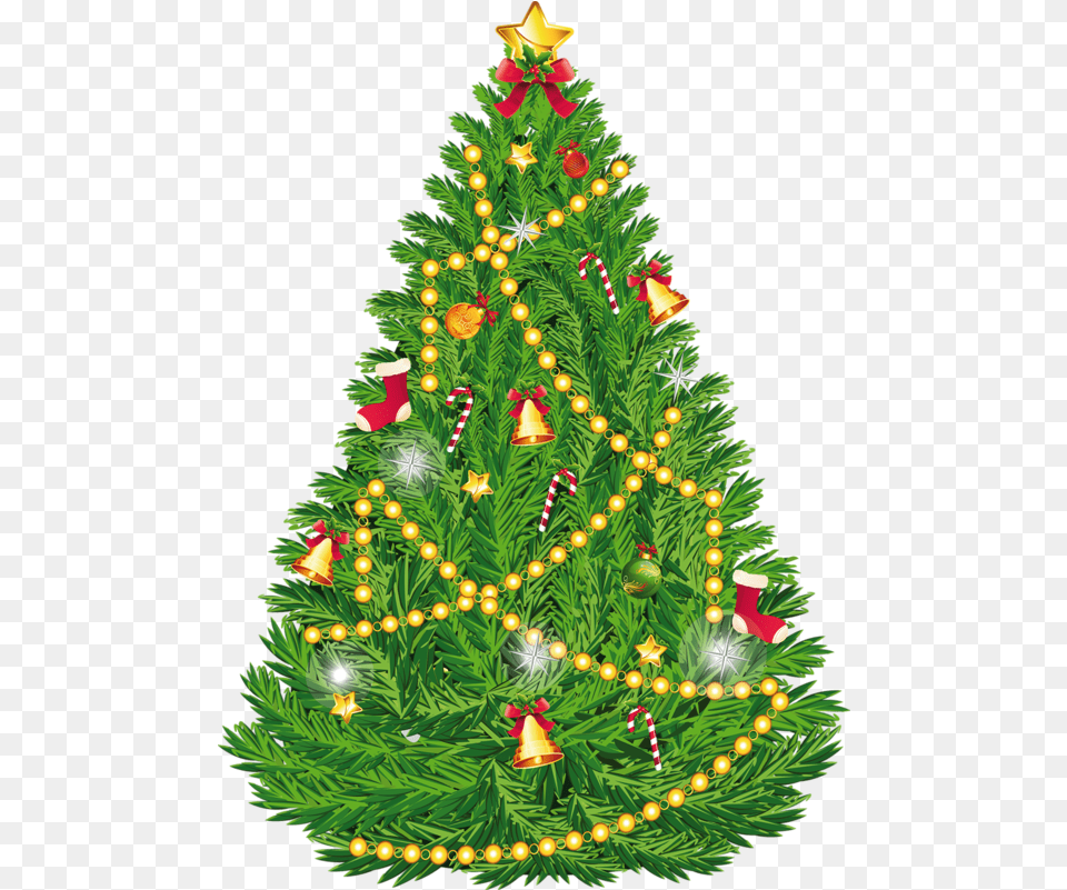 Christmas Tree Clipart Transparent, Plant, Christmas Decorations, Festival, Christmas Tree Png Image