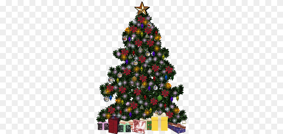 Christmas Tree Decorations In India, Plant, Christmas Decorations, Festival, Christmas Tree Free Png