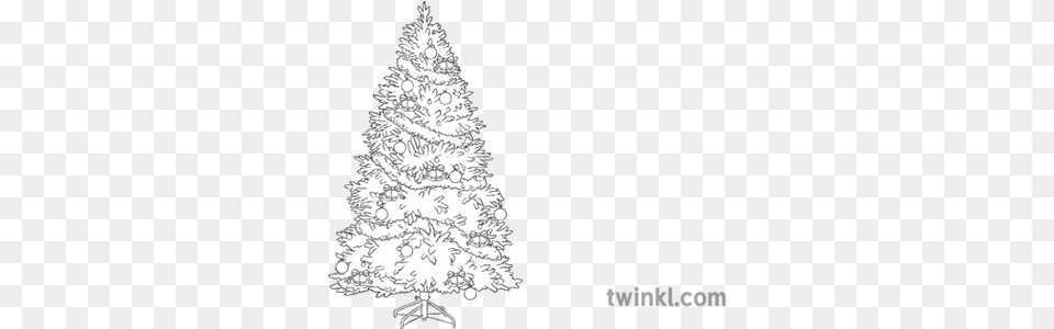 Christmas Tree Decorations Tinsel Bauble Bells Topics Christmas Ornament, Plant, Christmas Decorations, Festival, Christmas Tree Free Png Download