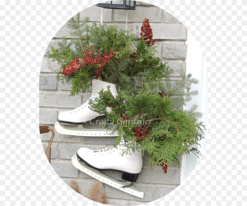 Christmas Tree Download Christmas Tree, Clothing, Footwear, Plant, Shoe Png