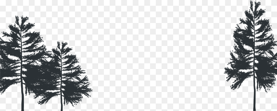 Christmas Tree Download Christmas Tree, Fir, Plant, Pine, Outdoors Free Transparent Png