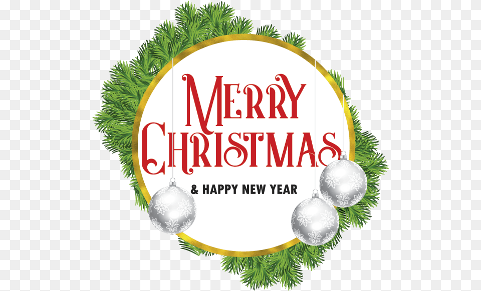 Christmas Tree Download Merry Christmas Wishes, Plant, Conifer, Vegetation Png Image