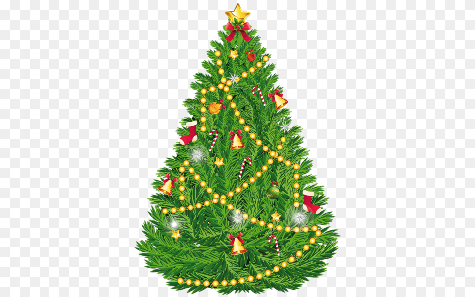 Christmas Tree Download, Plant, Christmas Decorations, Festival, Christmas Tree Free Transparent Png