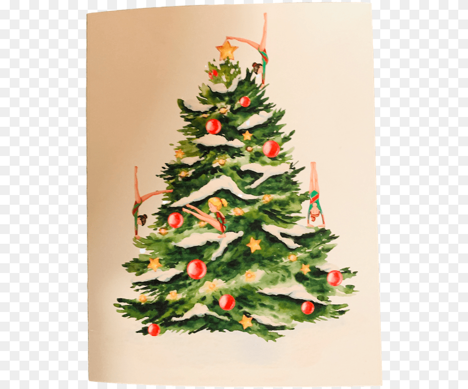 Christmas Tree Freepik, Plant, Festival, Christmas Decorations, Person Png Image