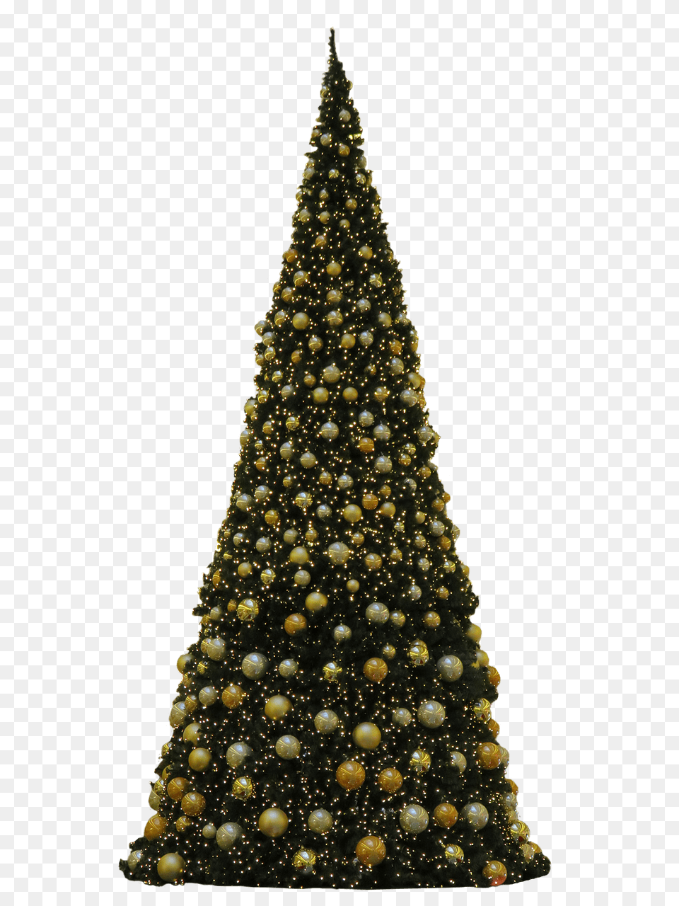 Christmas Tree Golden Baubles, Christmas Decorations, Festival, Plant, Christmas Tree Png Image