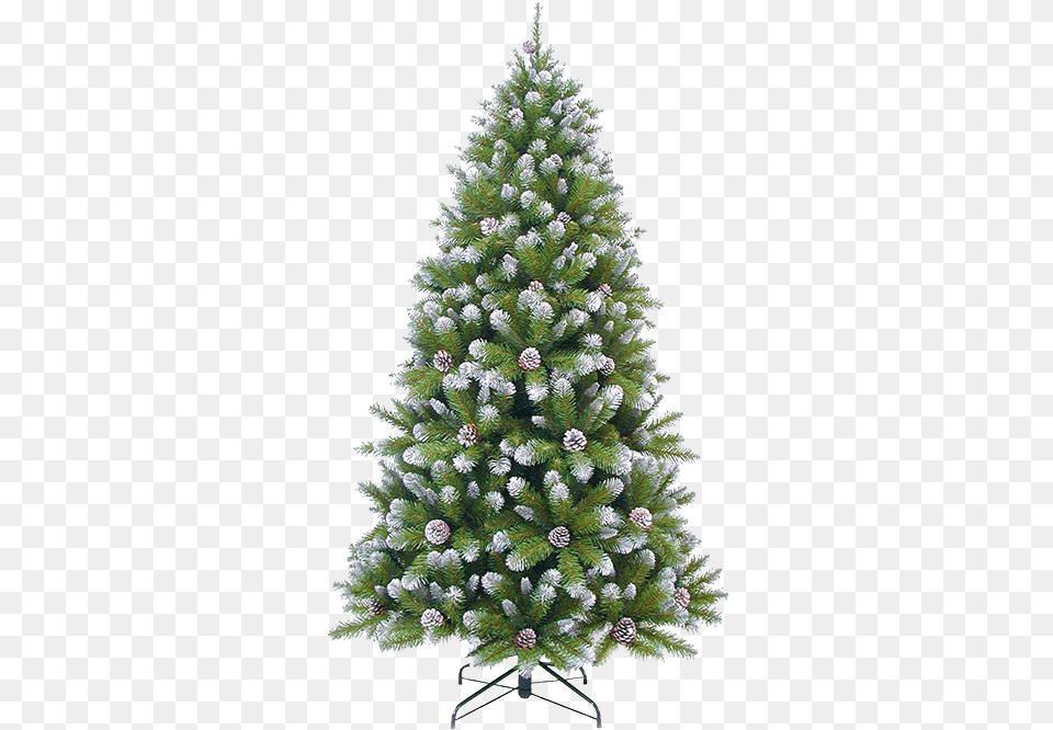 Christmas Tree Green Frosted Empress Spruce Frosted With Cones, Pine, Plant, Fir, Christmas Decorations Png Image
