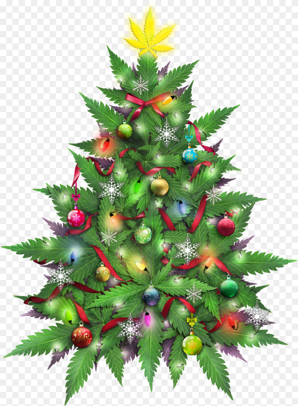 Christmas Tree Hd, Plant, Christmas Decorations, Festival, Christmas Tree Free Png
