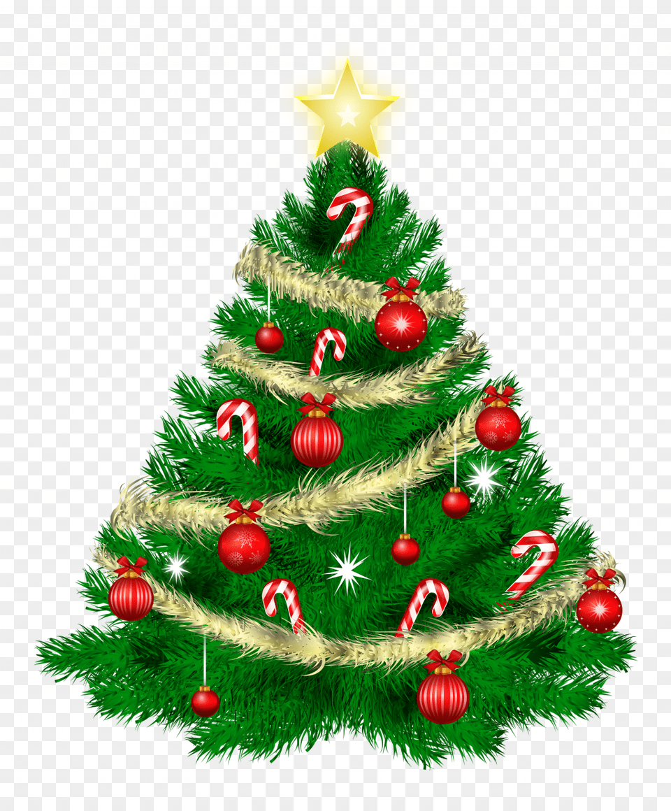 Christmas Tree Icon Facebook Photo Ideas Christmas Tree Background, Plant, Christmas Decorations, Festival, Christmas Tree Free Transparent Png