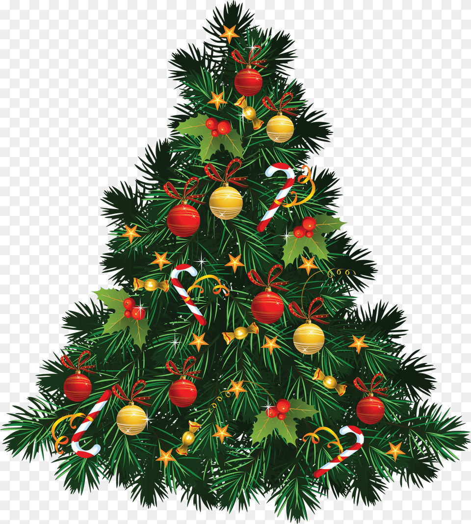 Christmas Tree Image Hd, Plant, Christmas Decorations, Festival, Christmas Tree Free Png Download