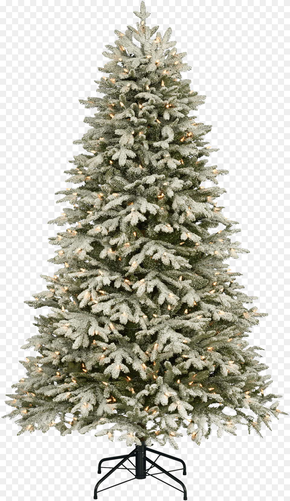 Christmas Tree Image Merry Christmas 2019 Words, Plant, Christmas Decorations, Festival, Pine Png