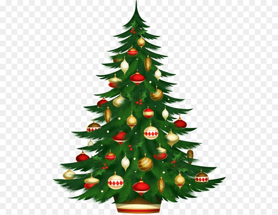 Christmas Tree Images, Plant, Christmas Decorations, Festival, Christmas Tree Png