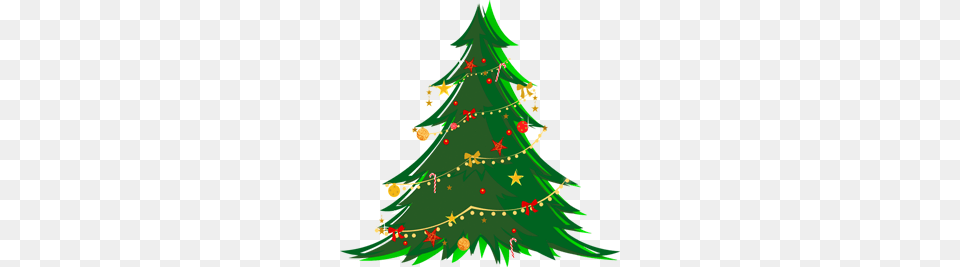 Christmas Tree Images, Plant, Festival, Christmas Decorations, Christmas Tree Free Png