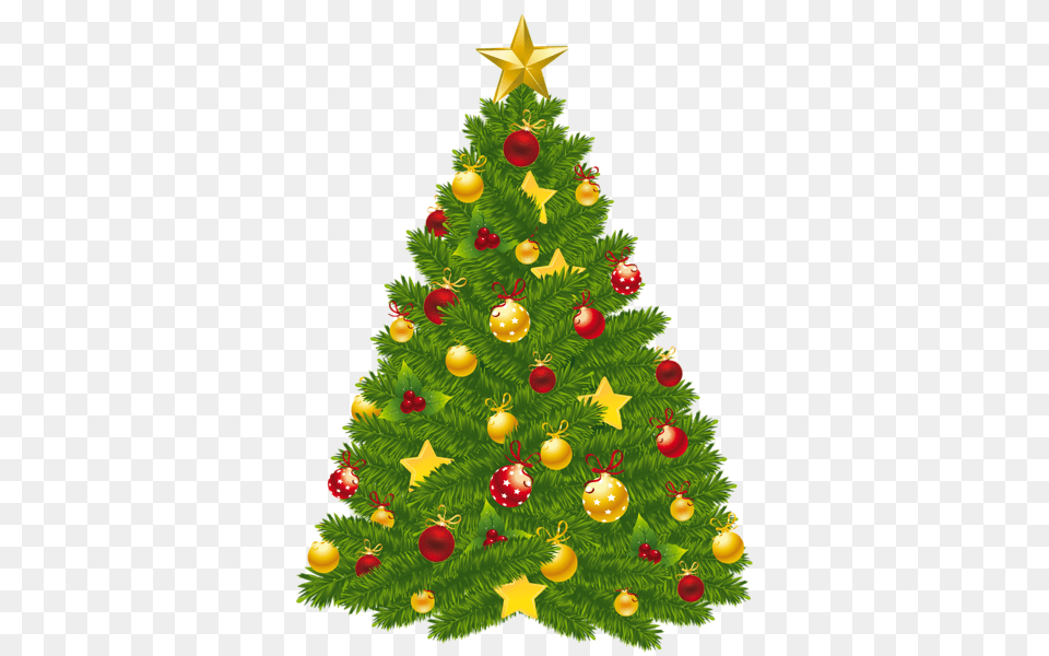 Christmas Tree Images Download, Plant, Christmas Decorations, Festival, Christmas Tree Png