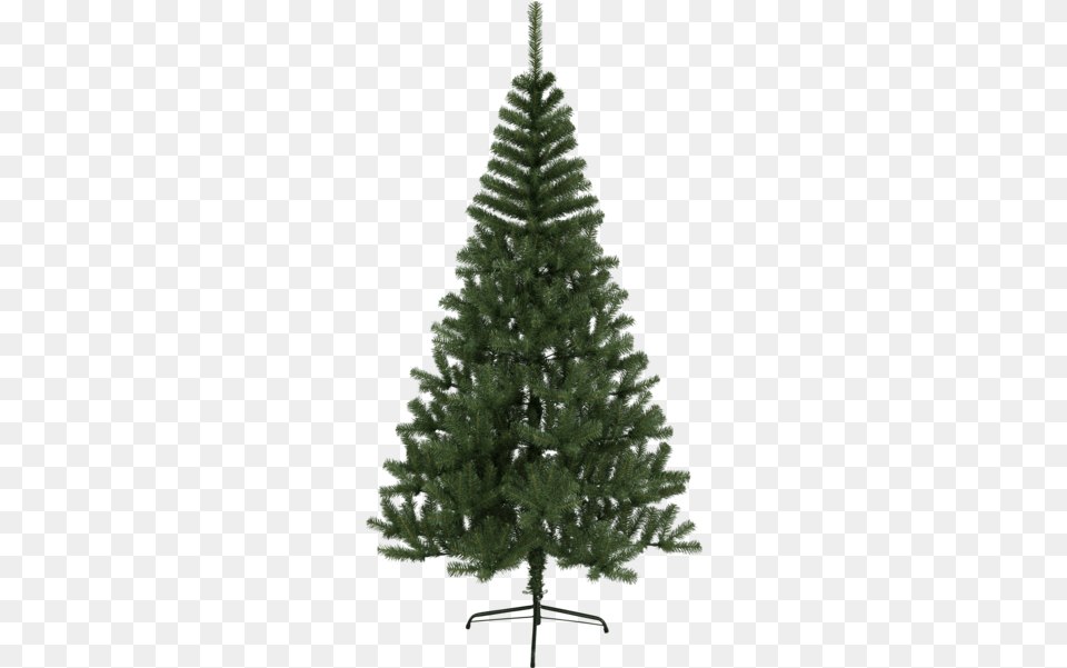 Christmas Tree Kanada Wilko Christmas 7ft Canadian Fir Tree, Plant, Pine, Conifer, Festival Free Png