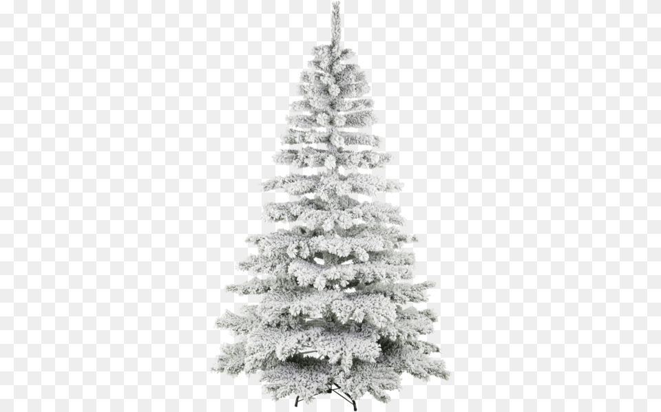 Christmas Tree Kiruna Snow Vit Grn Julgran, Plant, Christmas Decorations, Festival, Animal Free Transparent Png