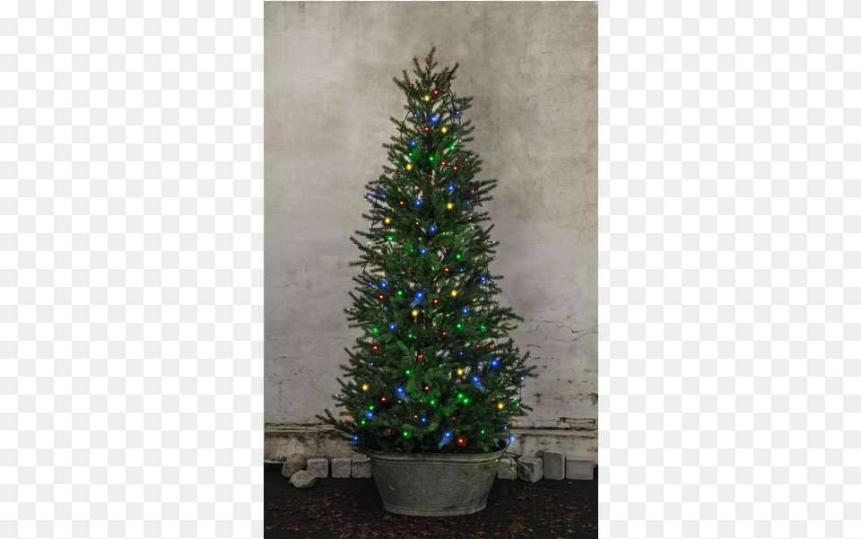 Christmas Tree Light Serie Led Star Trading Juletrelenke Led 8x2 Meter Multi, Plant, Christmas Decorations, Festival, Christmas Tree Png Image