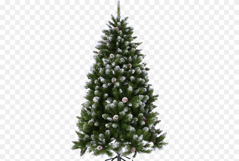 Christmas Tree New Year Tree, Plant, Pine, Fir, Christmas Decorations Png Image