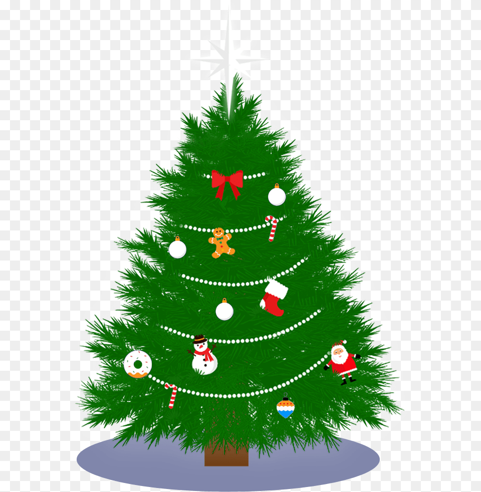 Christmas Tree Of Kindness, Plant, Christmas Decorations, Festival, Christmas Tree Free Png Download