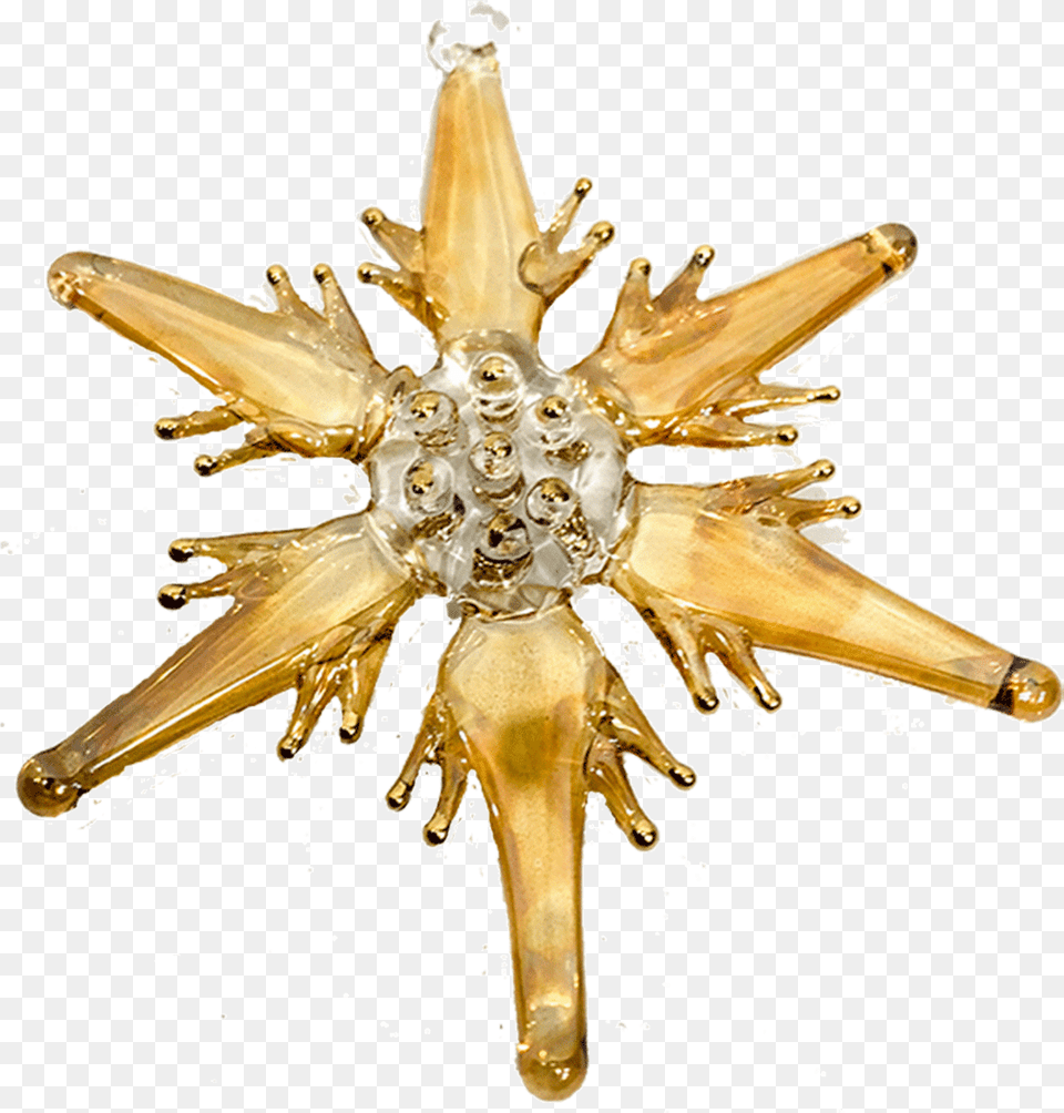 Christmas Tree Ornament Glass Star In Gold Color Handmade Egypt Illustration, Accessories, Jewelry, Brooch, Spider Free Transparent Png