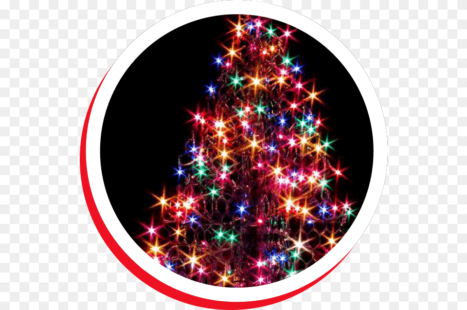 Christmas Tree Outdoor Decorated, Christmas Decorations, Festival, Lighting, Christmas Tree Free Png