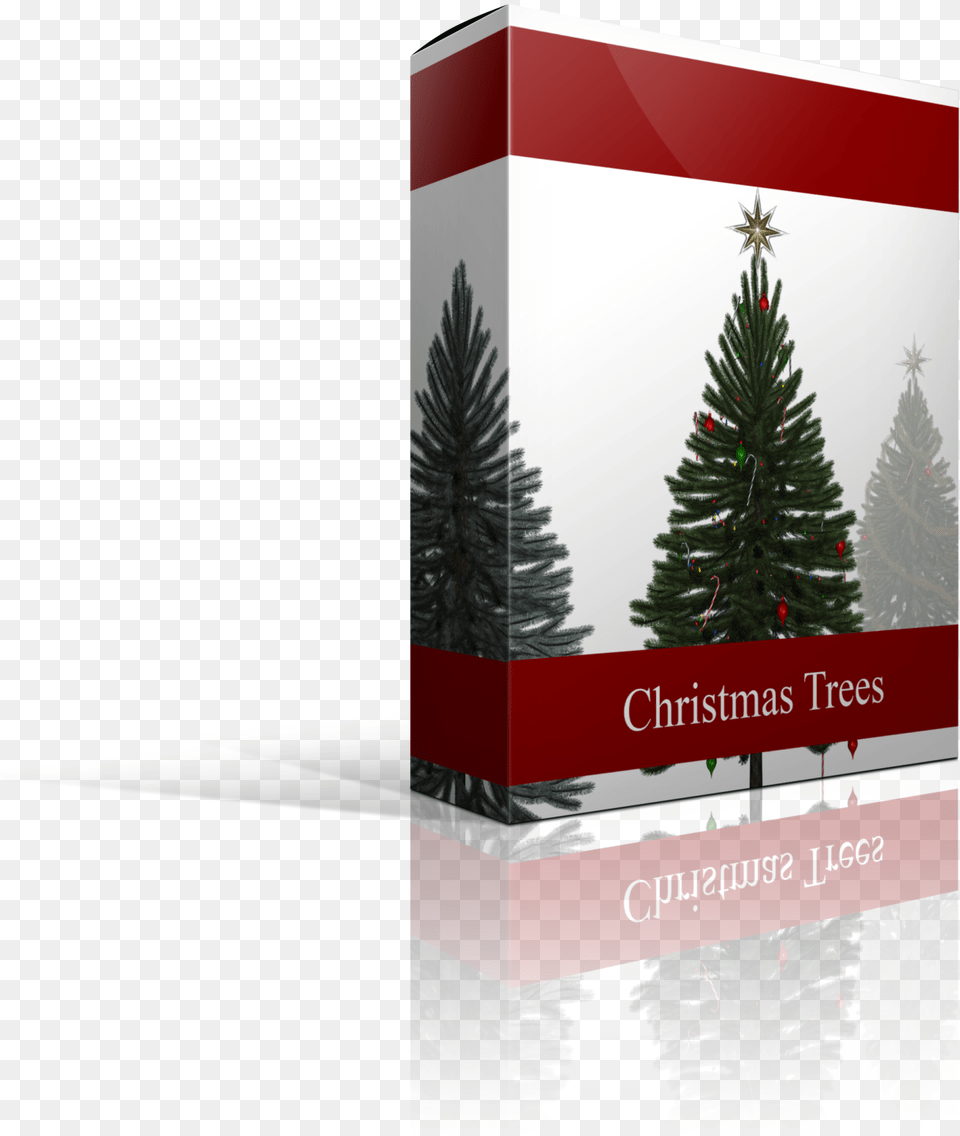 Christmas Tree Overlays Christmas Ornament, Fir, Pine, Plant, Conifer Free Png Download