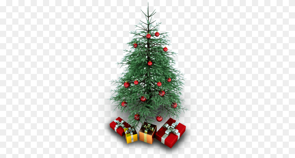 Christmas Tree Photos Icon Transparent Background Free Xmas, Plant, Christmas Decorations, Festival, Christmas Tree Png