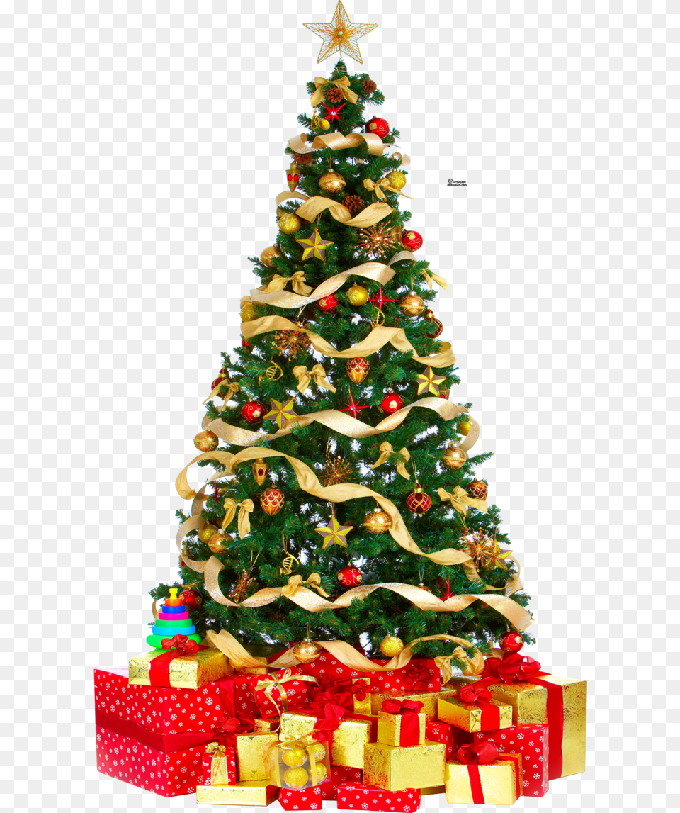Christmas Tree Pic Christmas Tree Christmas Decorations, Festival, Birthday Cake, Food Free Png Download