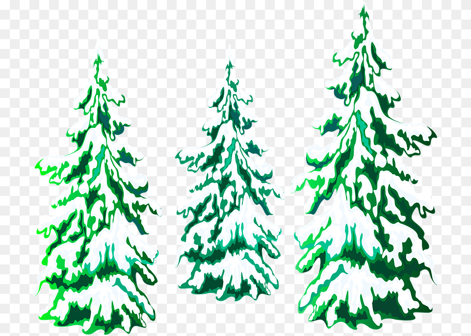 Christmas Tree Pine Trees Snow Pinos De Navidad En, Fir, Plant, Person, Christmas Decorations Free Png Download