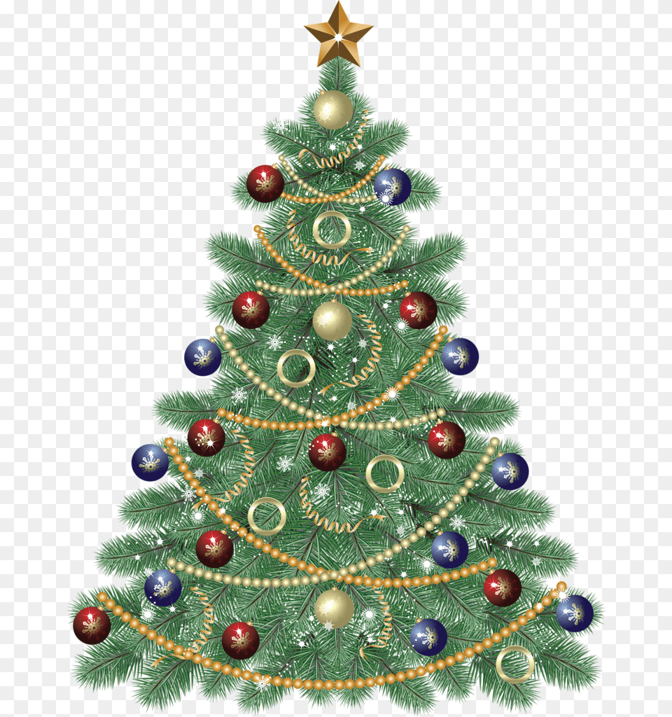 Christmas Tree Public Domain, Plant, Christmas Decorations, Festival, Christmas Tree Png