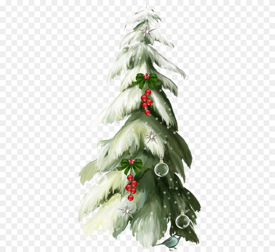 Christmas Tree Rboles De Navidad Abeto Clipart 13 Yanvarya, Plant, Adult, Wedding, Person Png
