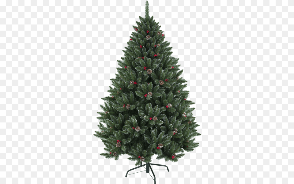 Christmas Tree Red Berry Plain Real Christmas Trees, Pine, Plant, Conifer, Christmas Decorations Png