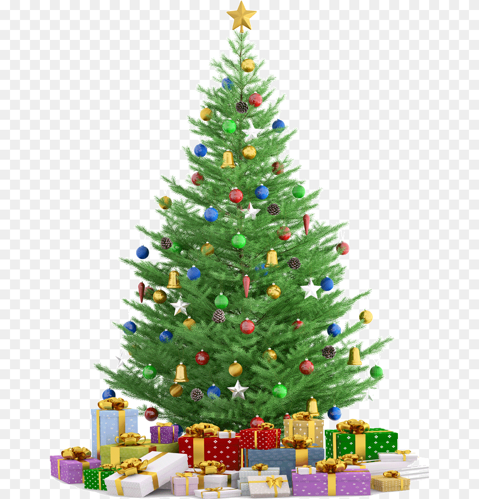 Christmas Tree Render, Plant, Christmas Decorations, Festival, Pine Free Png
