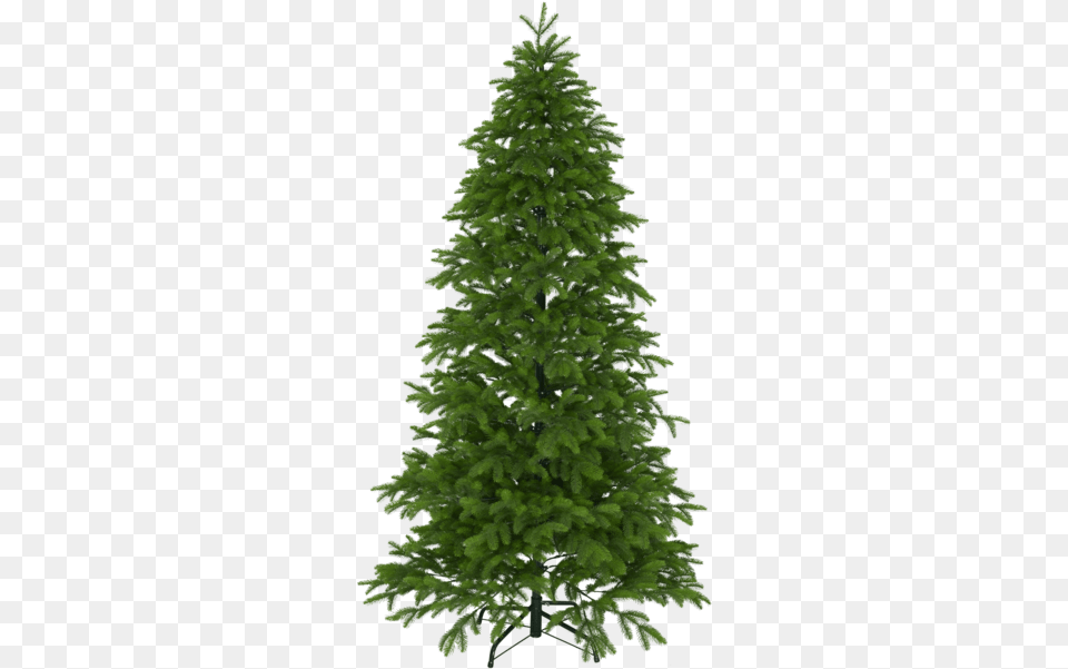 Christmas Tree Ryda Christmas Tree, Fir, Pine, Plant, Conifer Free Png Download