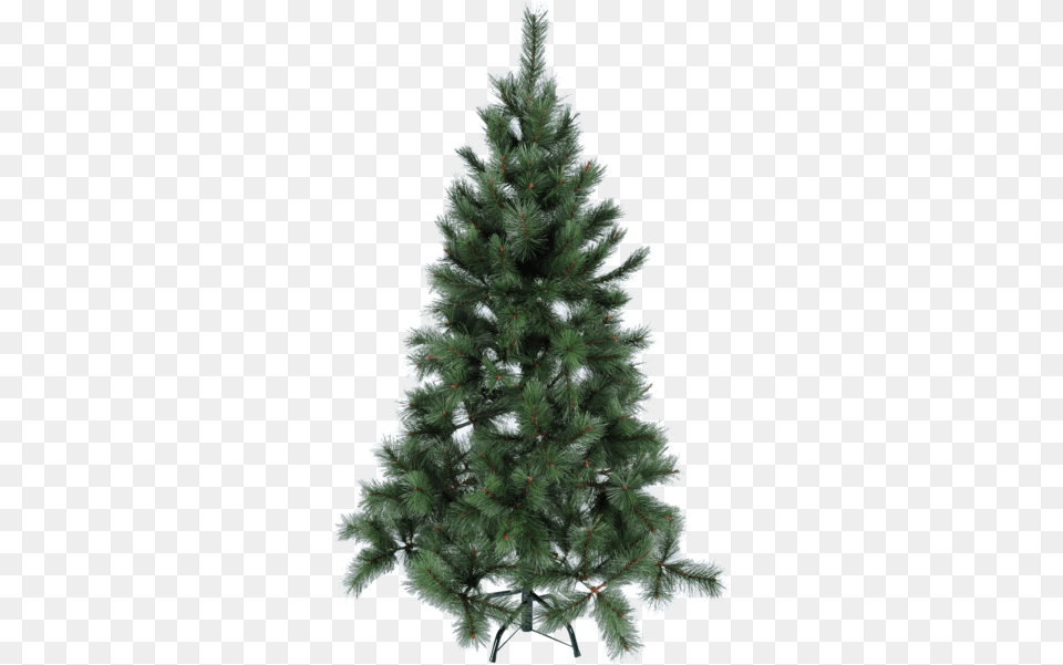 Christmas Tree Scandinavian Pine Star Trading Brad Artificial Caucazian, Fir, Plant, Conifer Free Png