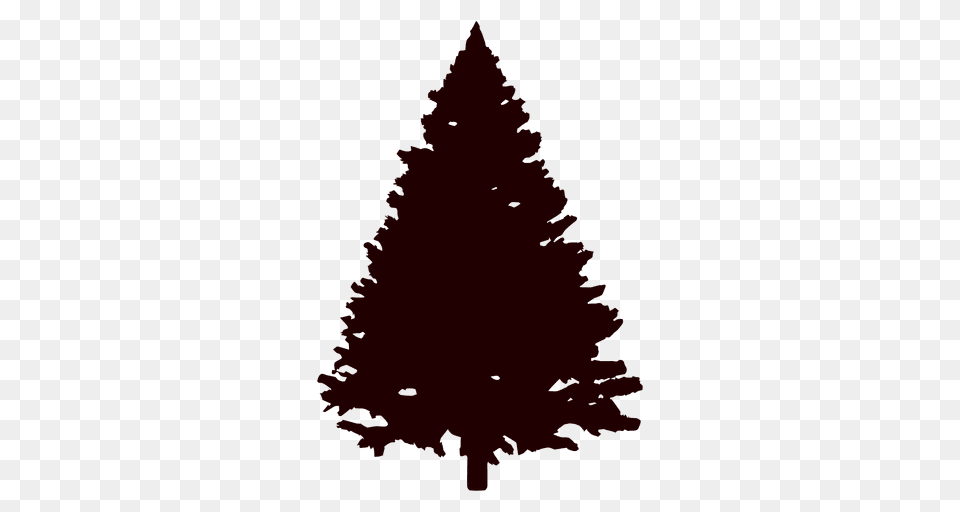Christmas Tree Silhouette, Fir, Plant, Pine, Bonfire Free Png