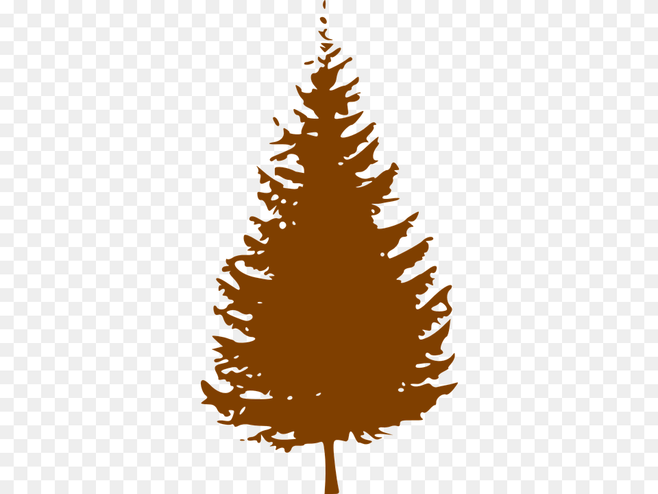 Christmas Tree Silhouette Pine Tree Silhouette, Conifer, Plant, Fir, Person Free Transparent Png