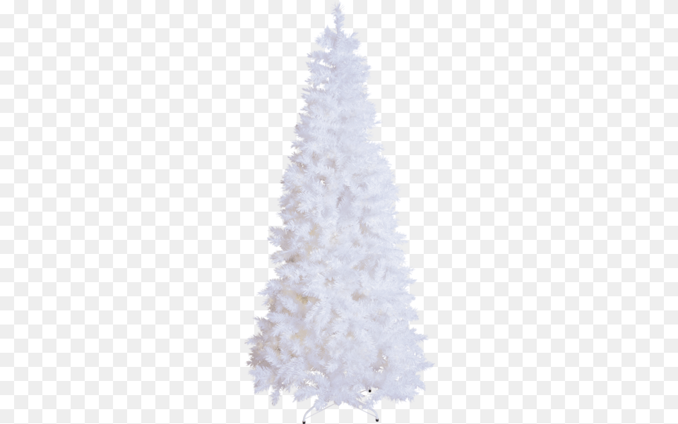 Christmas Tree Slim Hvit Juletre, Plant, Christmas Decorations, Festival, Fir Free Transparent Png