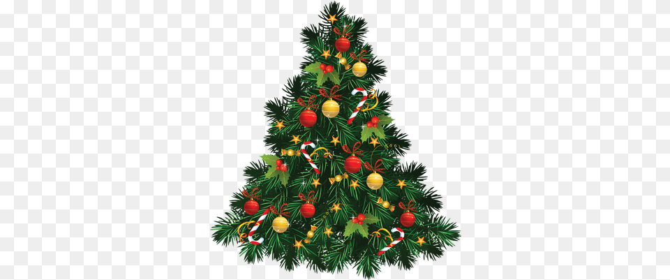 Christmas Tree Snow Transparent Stickpng Christmas Tree Images, Plant, Christmas Decorations, Festival, Christmas Tree Free Png