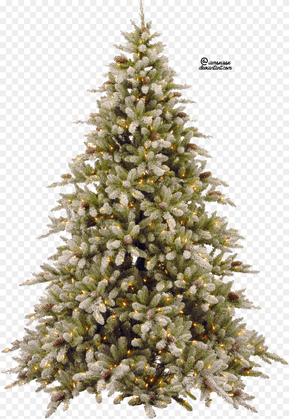 Christmas Tree Snowy Christmas Tree, Plant, Pine, Christmas Decorations, Festival Png