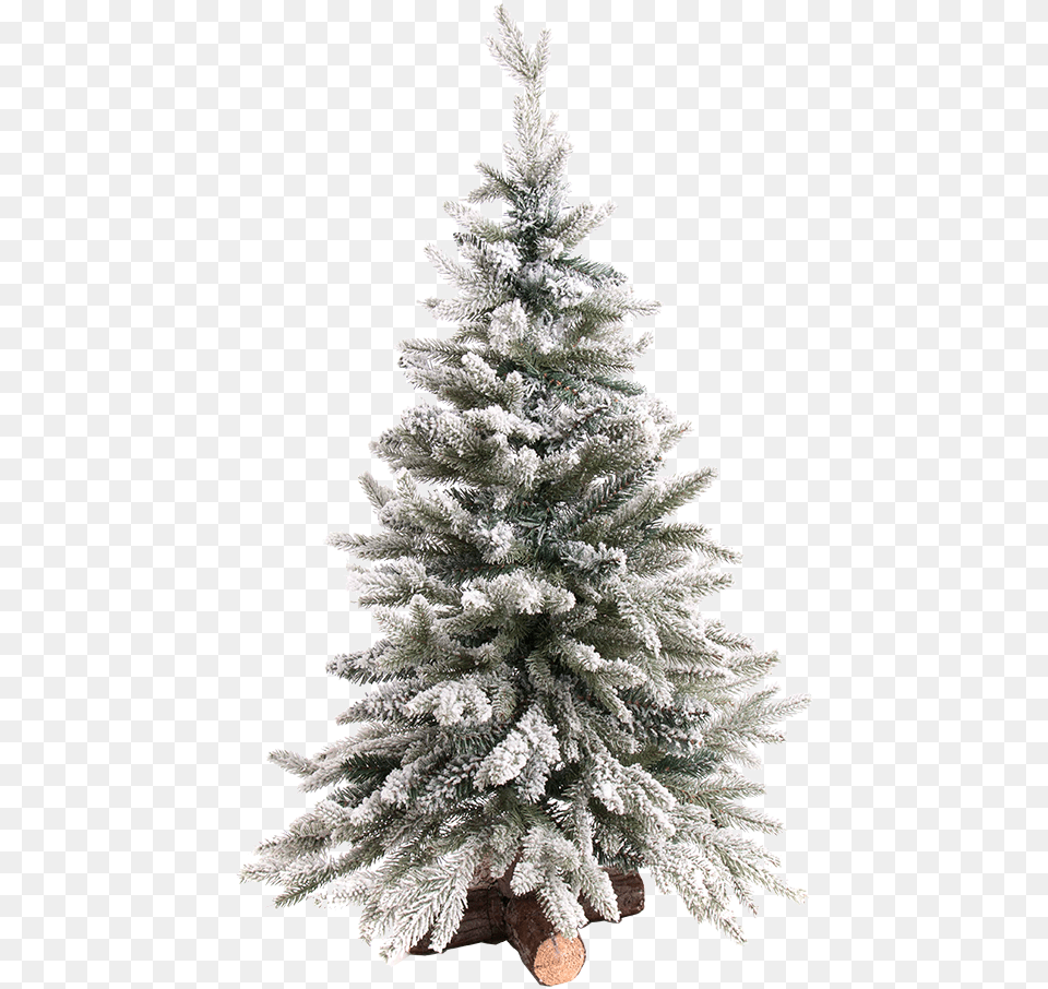 Christmas Tree Snowy Snowy Christmas Tree, Plant, Fir, Christmas Decorations, Festival Free Png
