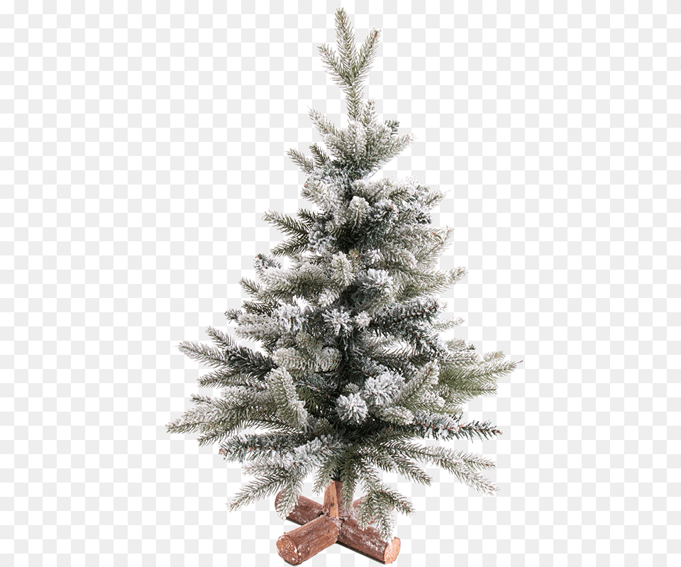 Christmas Tree Snowy Weihnachtsbaum Mit Schnee 60 Cm, Plant, Weather, Outdoors, Nature Png Image