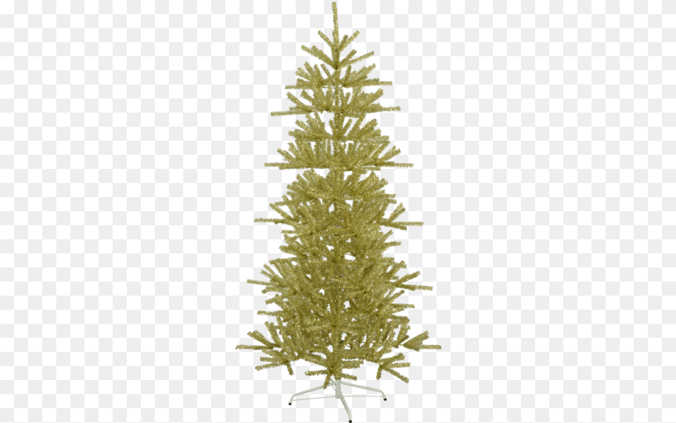 Christmas Tree Sparkle Christmas Tree, Plant, Christmas Decorations, Festival, Christmas Tree Free Png Download