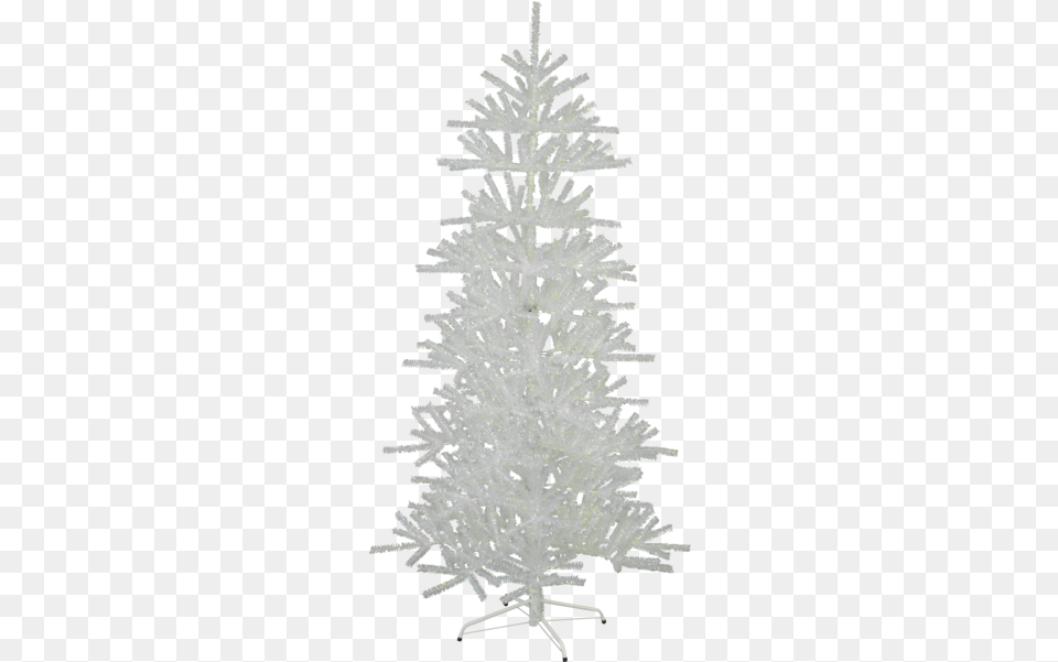 Christmas Tree Sparkle Christmas Tree, Plant, Christmas Decorations, Festival, Christmas Tree Free Transparent Png