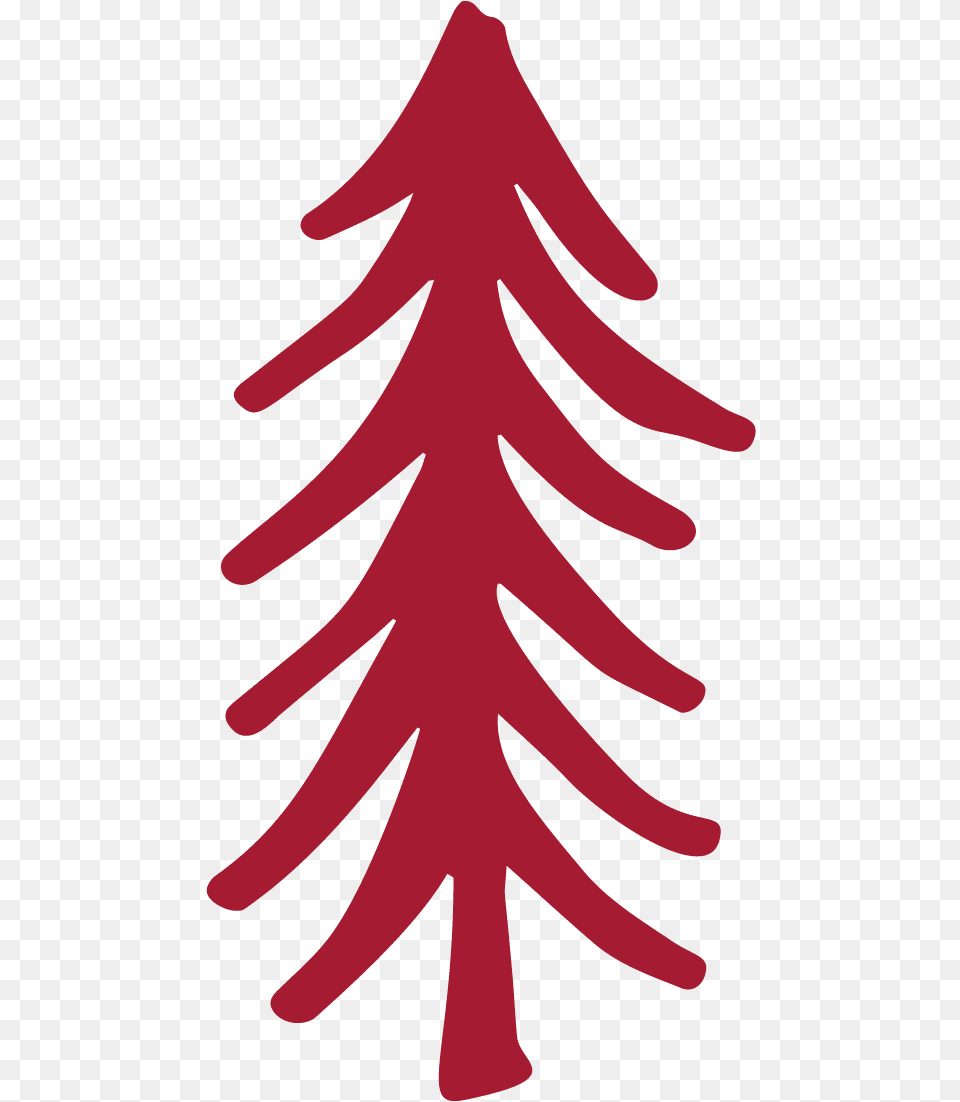 Christmas Tree Spruce, Plant, Leaf, Animal, Fish Png Image